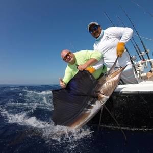 Meet your Posher, Paul